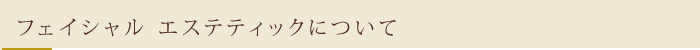 フェイシャルエステティックについて